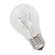 Крушка специално предназначение нажежаема жичка 220V E27 100W Крушка специално предназначение нажежаема жичка 220V E27 100W